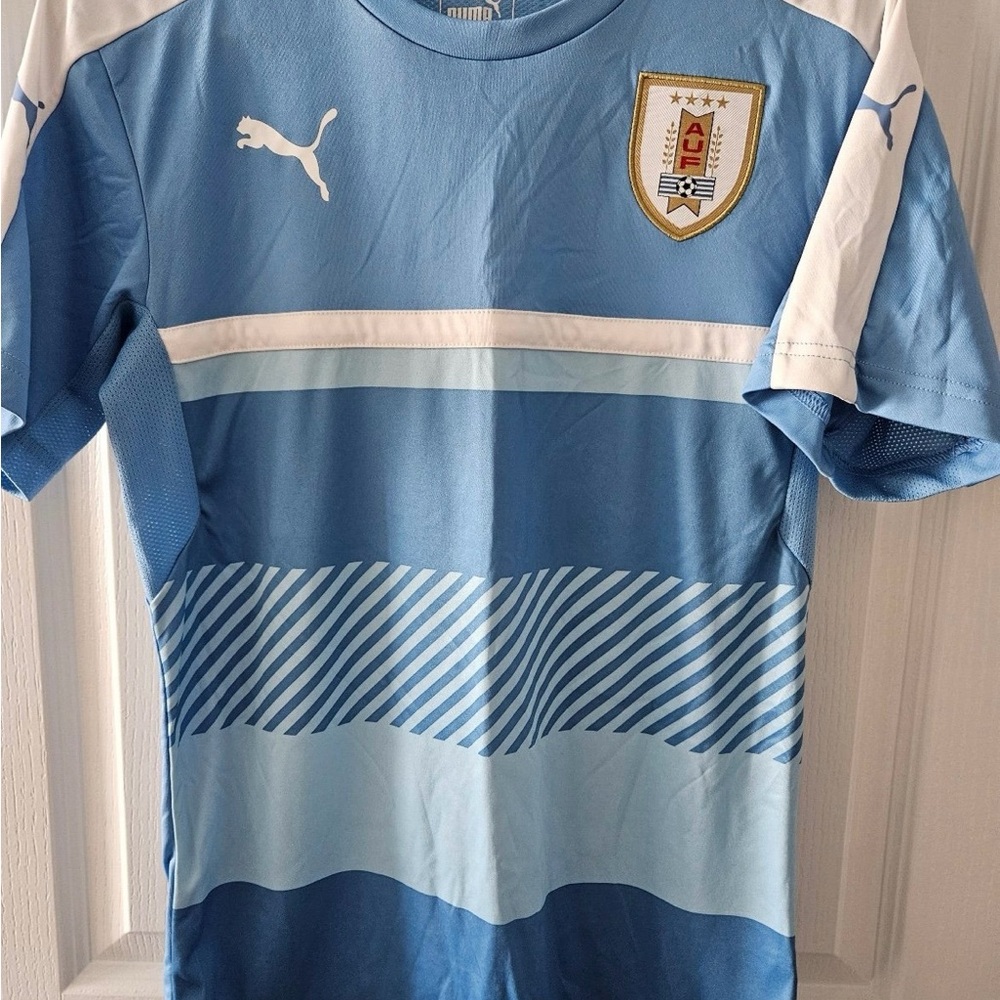 Puma Uruguay Adult Soccer Futbol Jersey